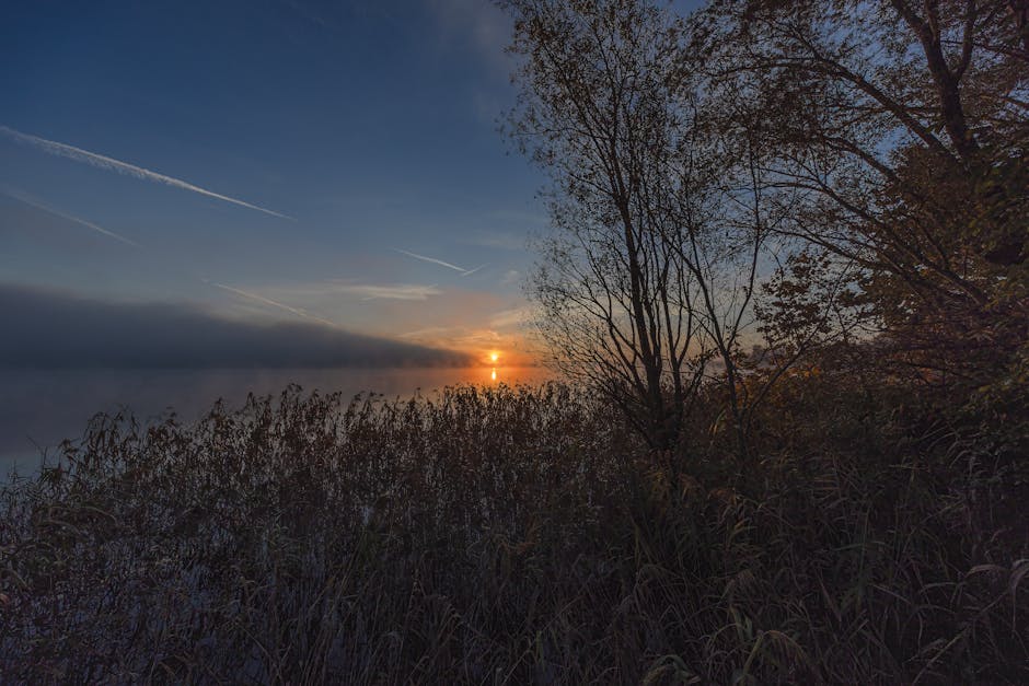 Lake Massaciuccoli reeds sunset reflection