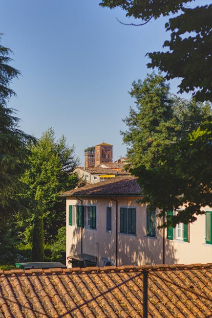 Lucca Torre Guinigi rooftop oak trees