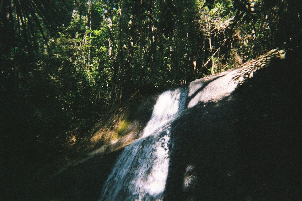 Orecchiella natural park forest trail waterfall