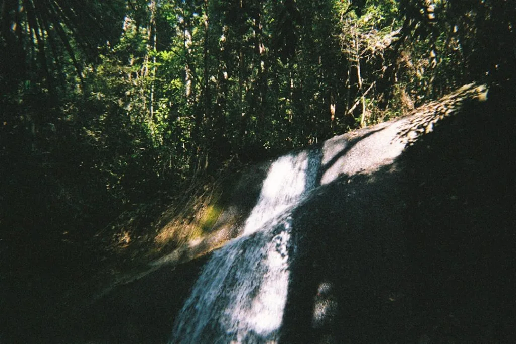 Sunlit waterfall cascading over smooth rock amid dense Garfagnana forest