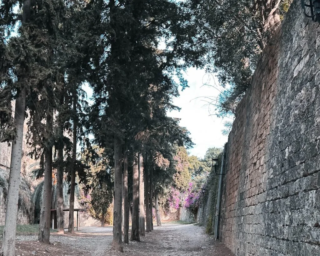 Shaded tree-lined path beside Lucca's ancient stone city wall