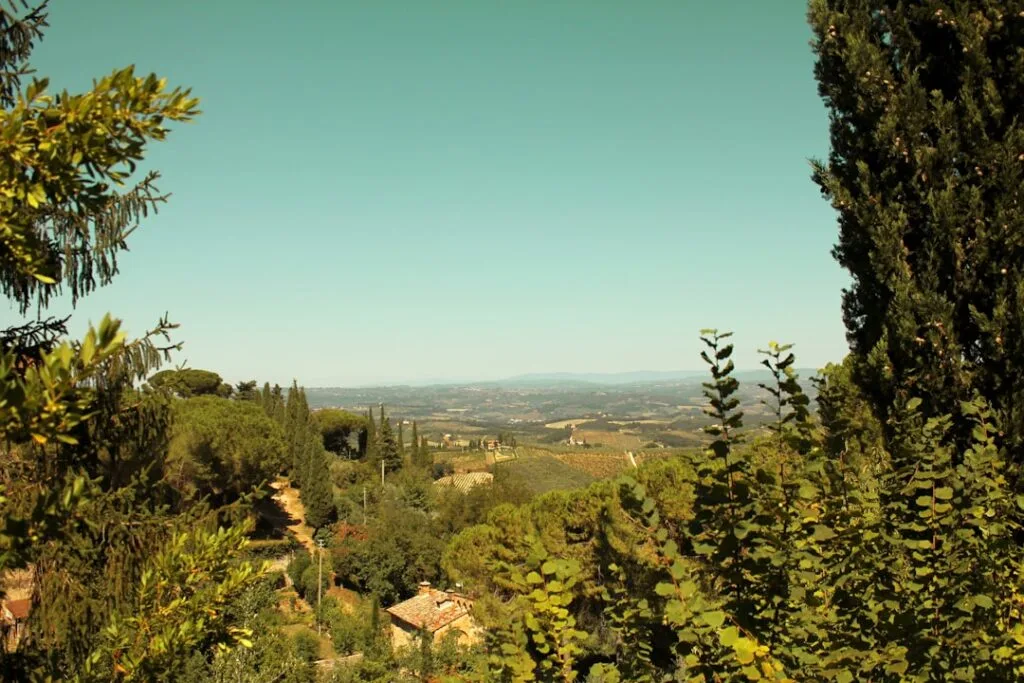 Rolling Tuscan hills and cypress trees near Lucca with farmhouse