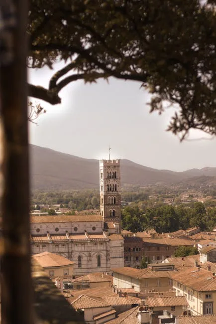 View over Lucca from Torre delle Ore