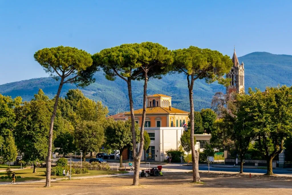 Tall umbrella pines framing a Lucca park with distant church spire